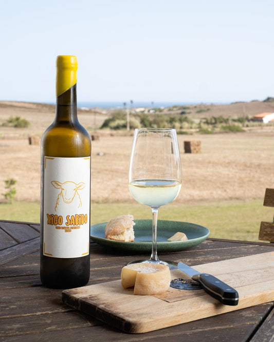 Xico Sabido branco 2023 - Xico Sabido