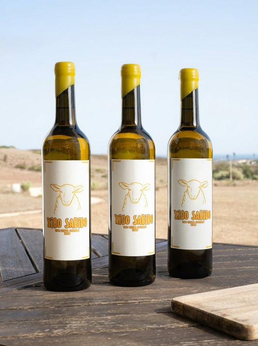 Xico Sabido Branco - pack 3 - Xico Sabido