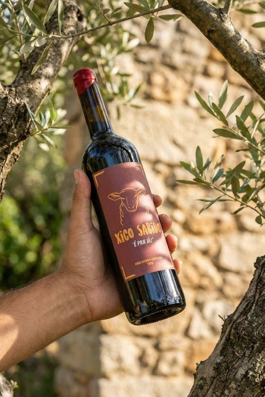 Xico Sabido Tinto É PR'A JÁ 2022 - Xico Sabido