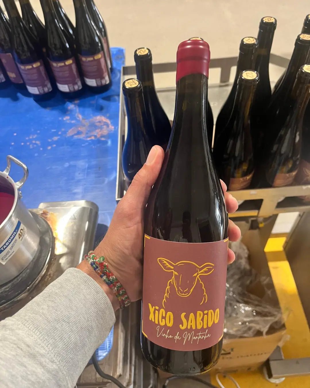 Xico Sabido: Vinho da Montanha - Xico Sabido